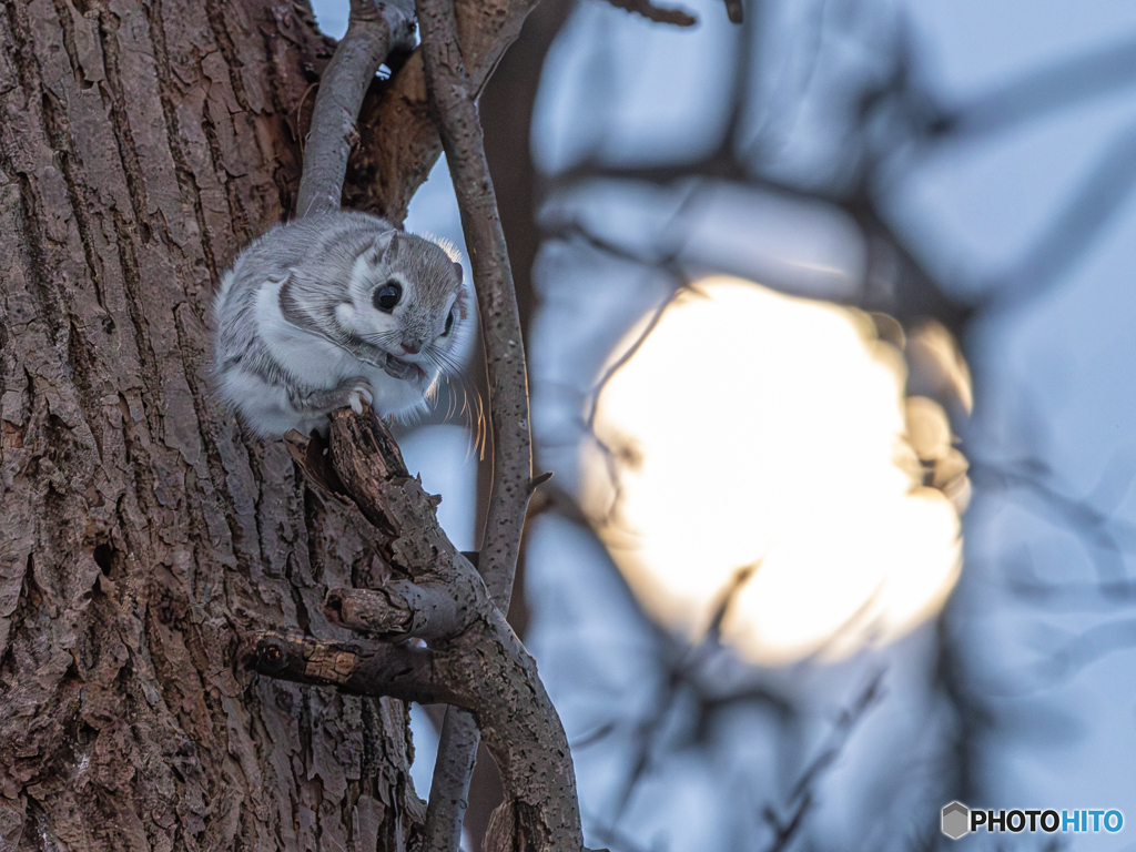 こんな日もあった