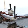 水浴び