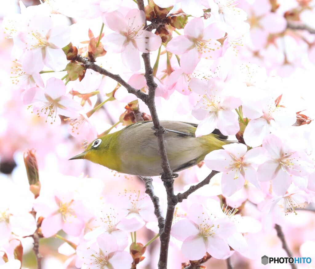 北海道の4月下旬
