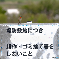 呼びかけ週間