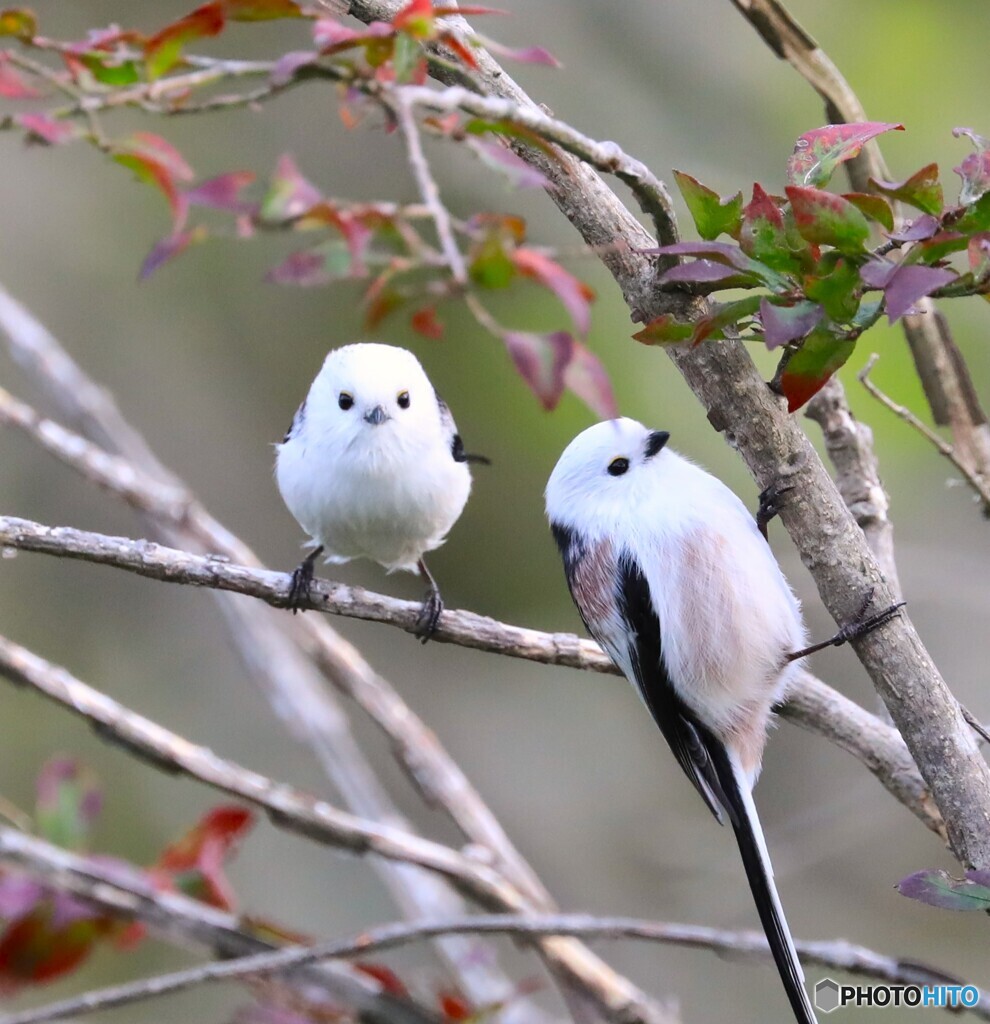 寄り添う10月