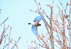 天気がいいな