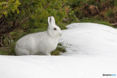 あっという間に