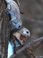 それちょうだい