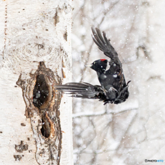 定時に帰れた時みたいに