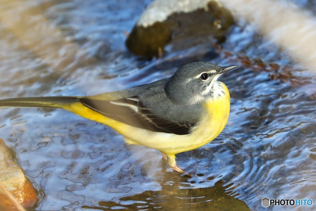 山奥