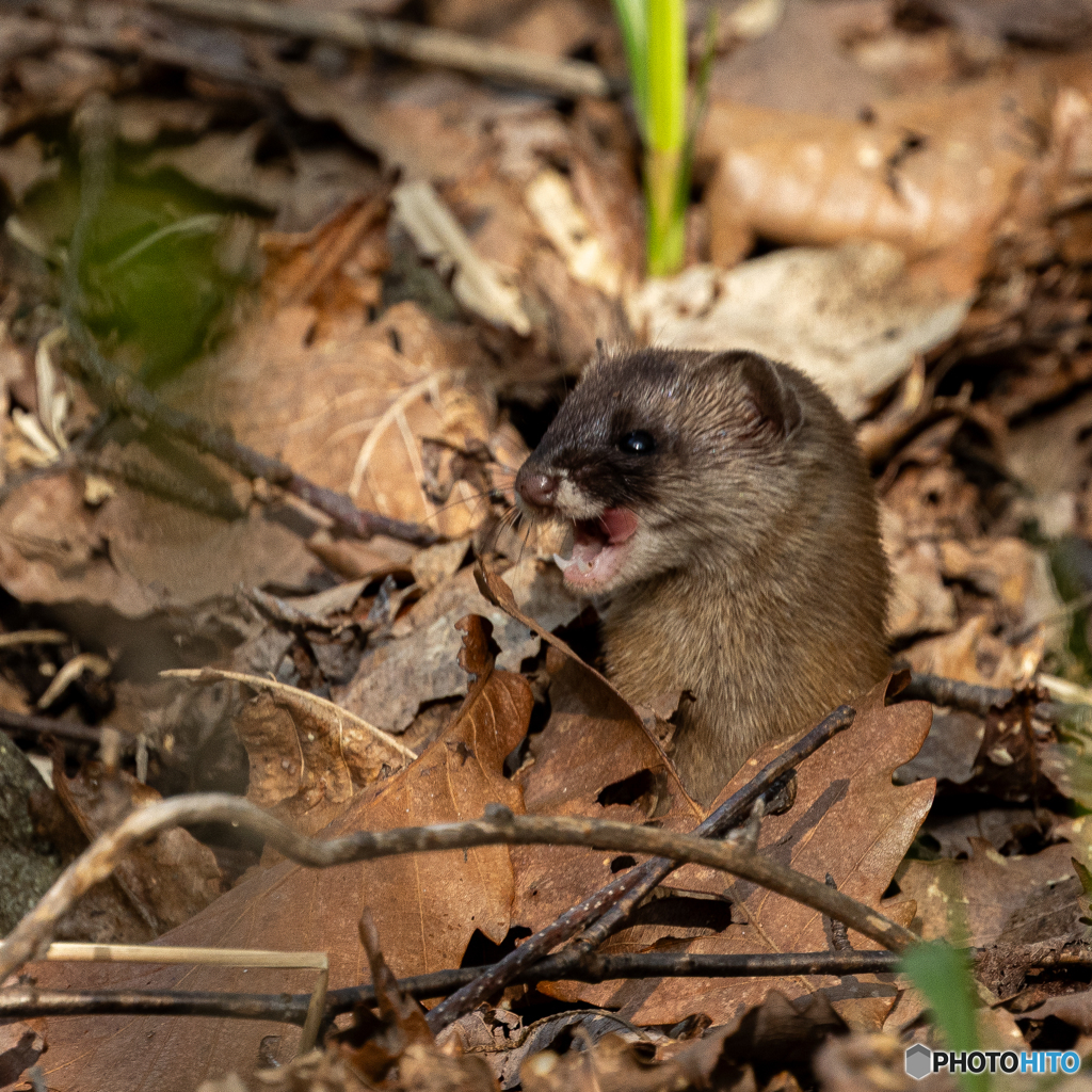 環境がよい証拠
