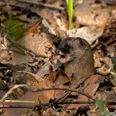 環境がよい証拠