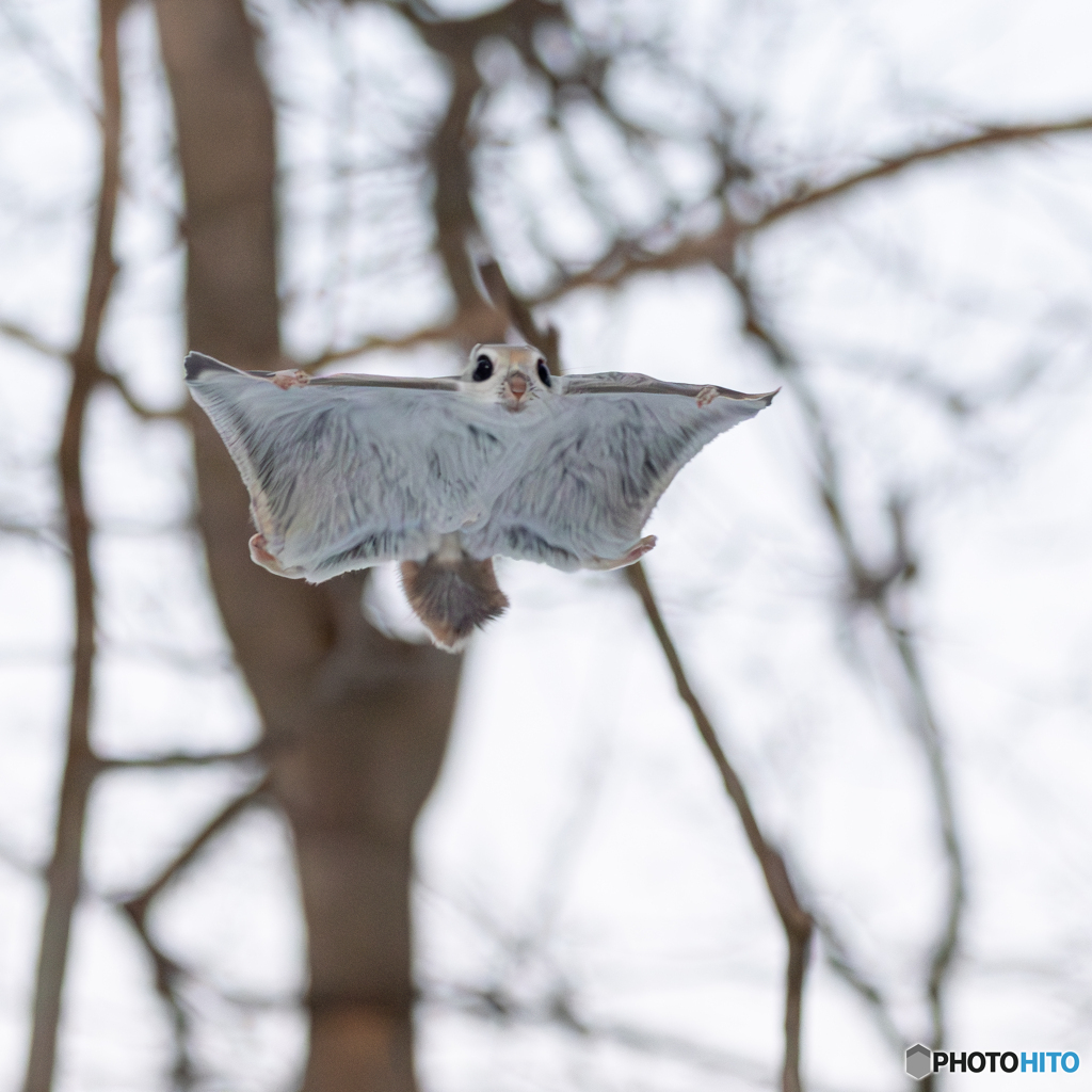 メリークリスマス