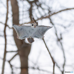 メリークリスマス