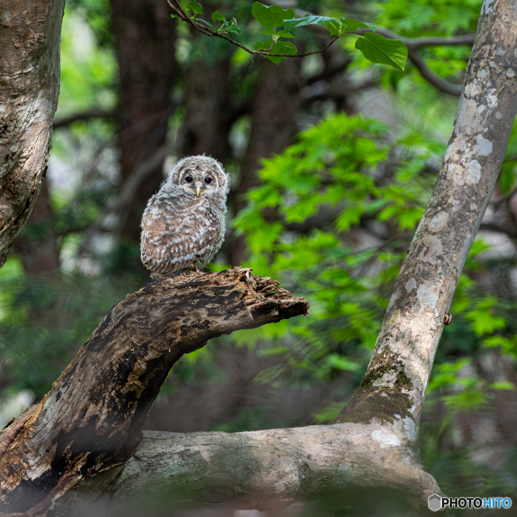 今年最後の写真