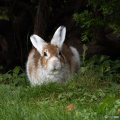 冬へのカウントダウン