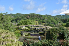 DSC_0417