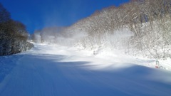 2024年1月五竜スキー場