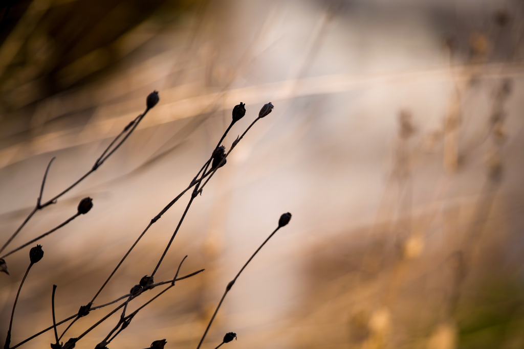 なびくシルエット