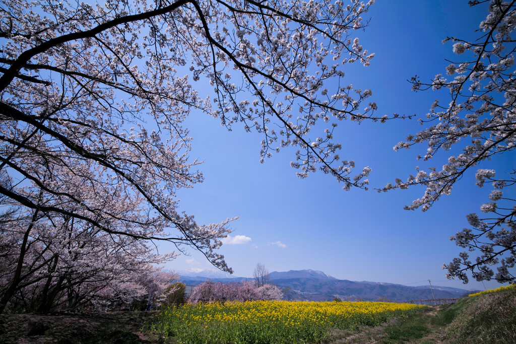 青空がくれた色調