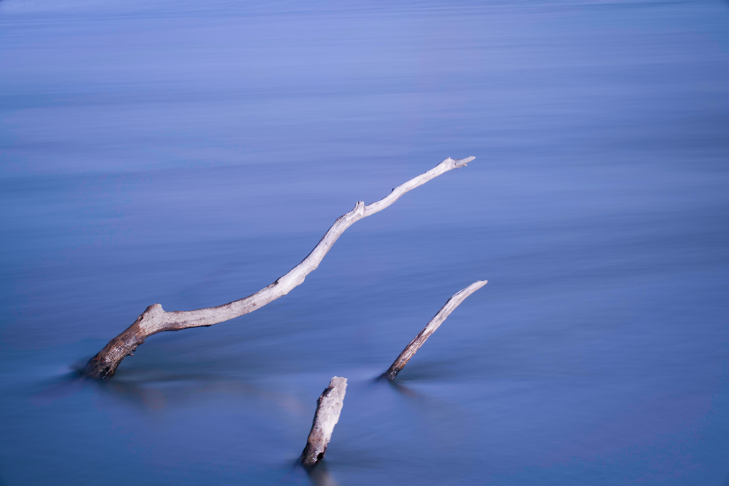 その河の流れ