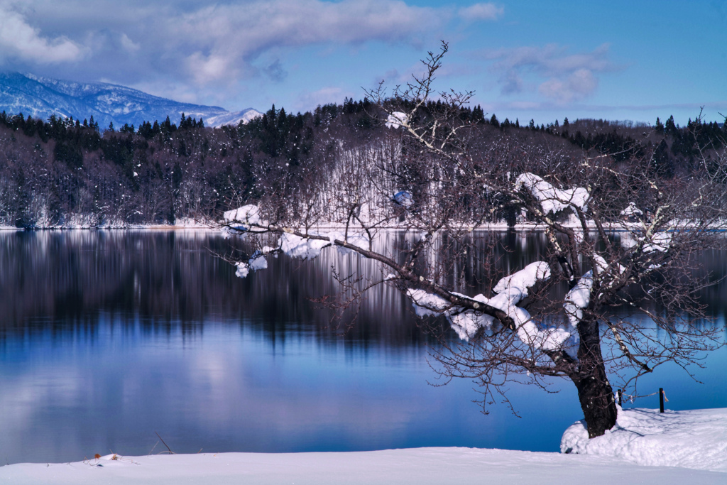 青木湖の冬