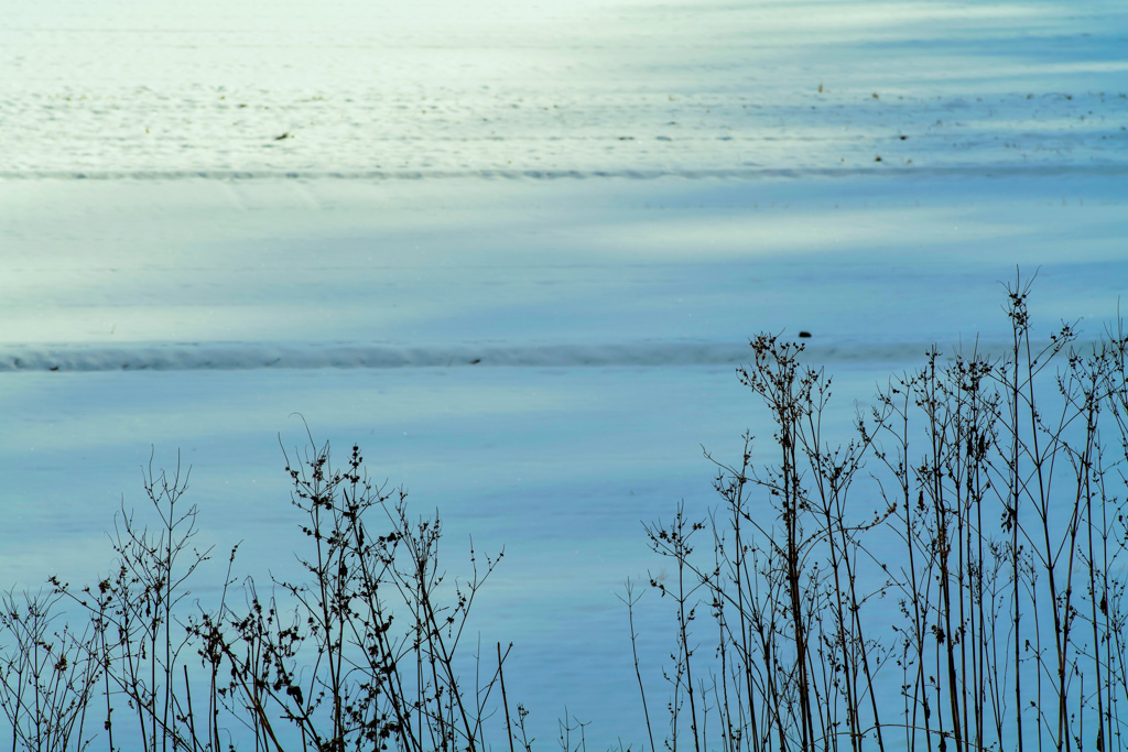 切り取られた冬景色
