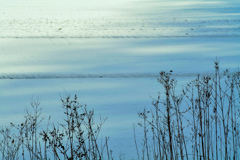 切り取られた冬景色