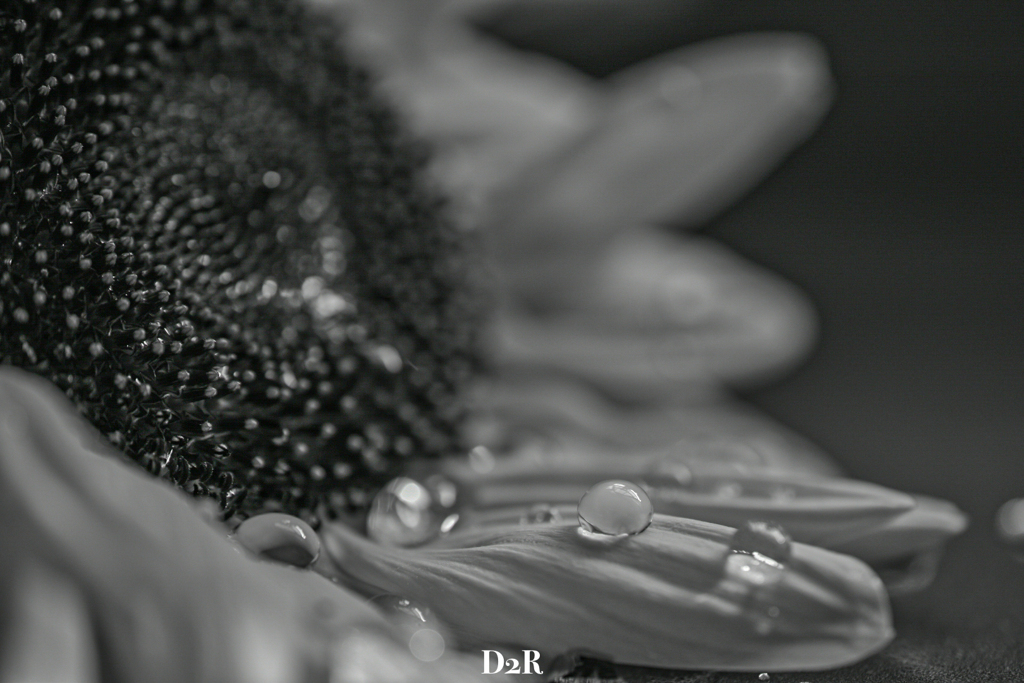 C8F2DD64-9AE4-4FFA-8AB1-EF28F6C86876