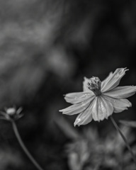 E4D7E571-8554-4A5E-B9B2-7B23B59F65BB