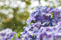 CC600942-4A72-427E-BD5A-9DABAC78D3A0