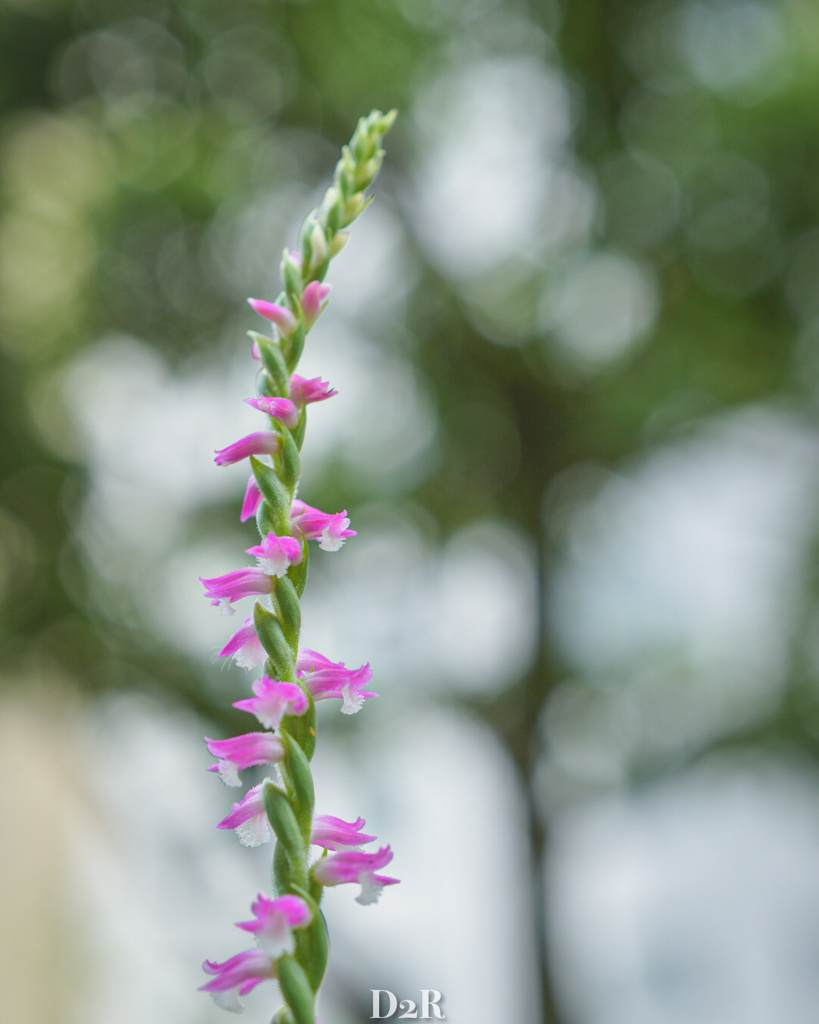 1667C266-B127-4642-9DE1-9C9D41BC2B3C