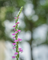 1667C266-B127-4642-9DE1-9C9D41BC2B3C