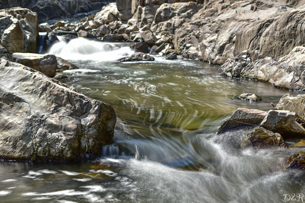 0D1D15EC-3344-4A91-8946-538A979D1B8F