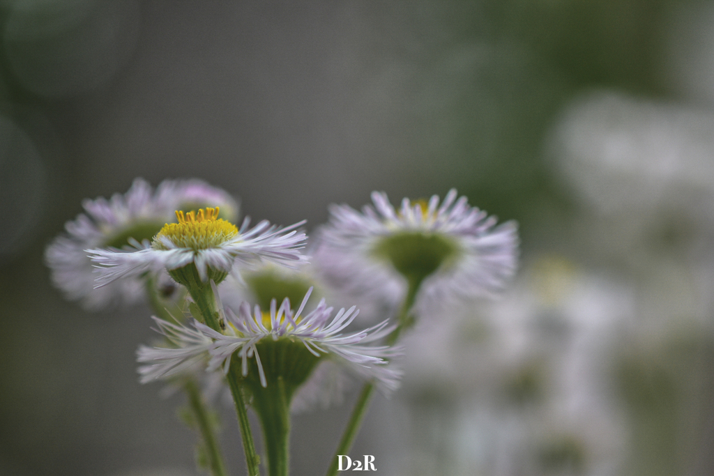 97BAA560-FF50-4131-9EC5-4AA4BA61C7F3