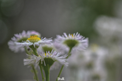 97BAA560-FF50-4131-9EC5-4AA4BA61C7F3