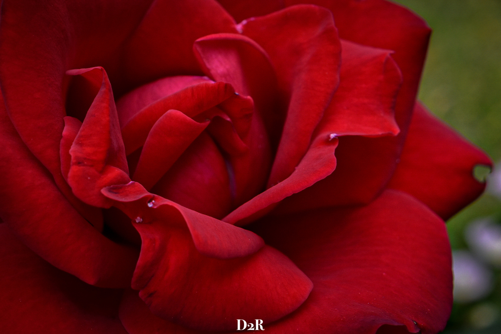 6B8E5119-F5F2-4D8A-94C4-295604CE3256