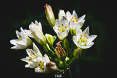 404A812D-B6B6-4DCE-A3A4-7F28AC6310AF