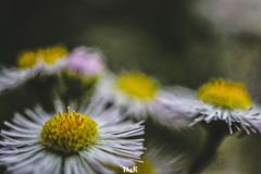 3DEE69C2-6BD7-40FC-937B-F52565DCF921