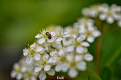 B3F032F8-F1D7-468D-AF73-2C16AEC88588