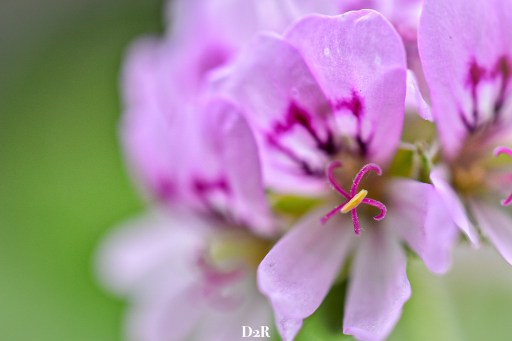 4A8226DF-D8A9-494D-8730-AA260CA94BA9