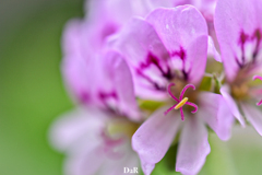 4A8226DF-D8A9-494D-8730-AA260CA94BA9