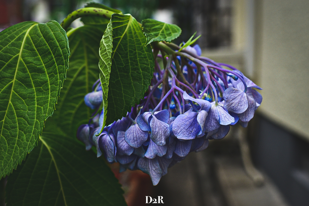 DD57F653-6D25-4248-AE93-6B670ACECCF5