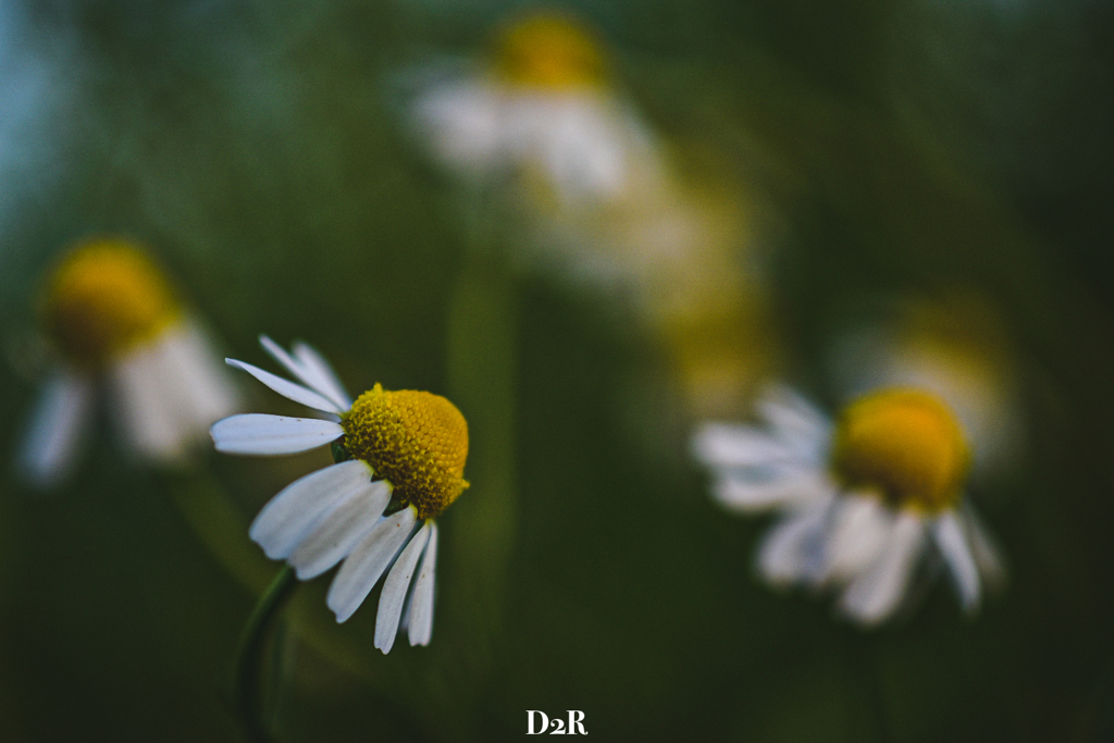 5D1889A8-75BE-49E9-B1D4-98C583C797A3