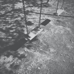 遊ぶ子いないね。