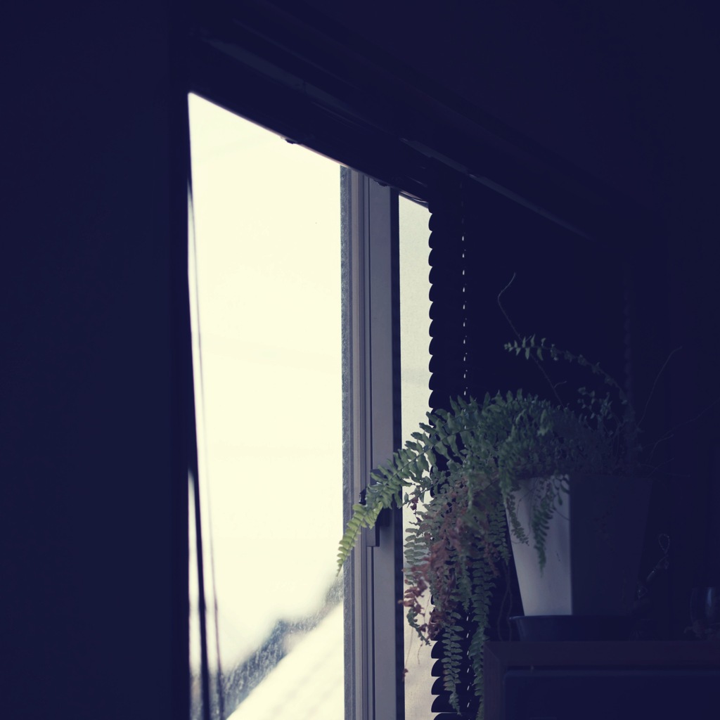 雨の日の昼下がり