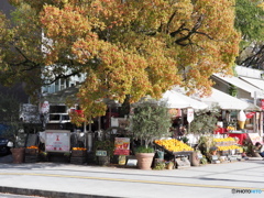 街角スナップ。初投稿！。