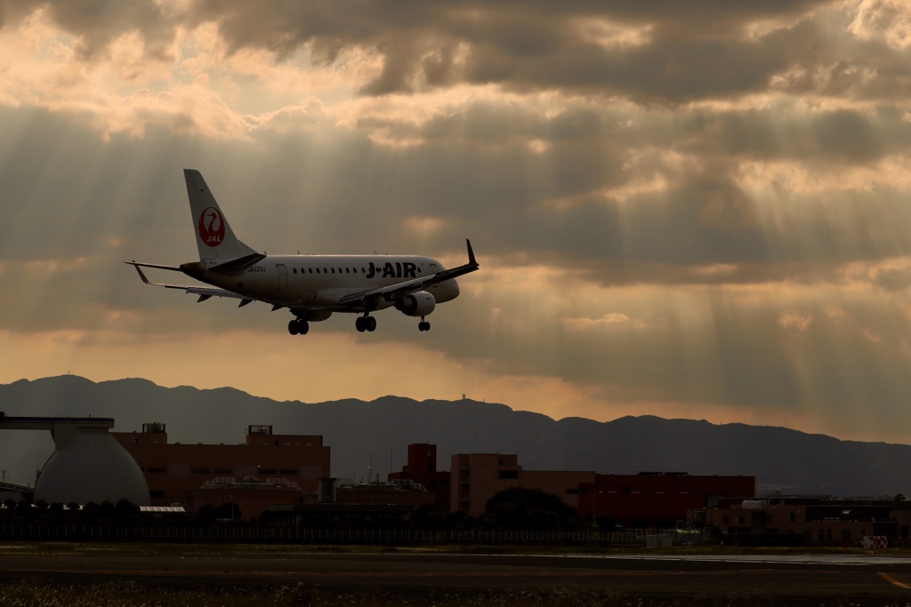 光のシャワーの中で