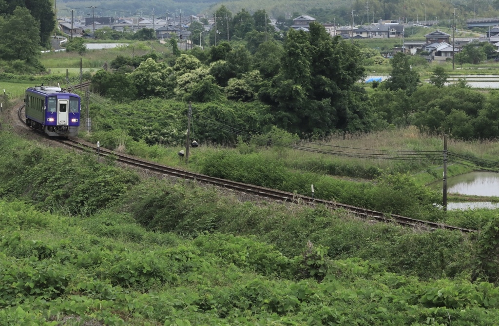 関西本線　賀茂ー笠置間にて1