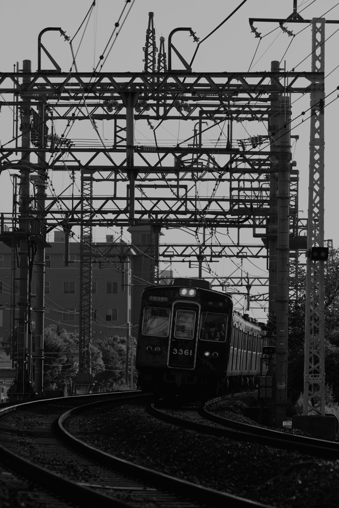 モノクロのマルーン