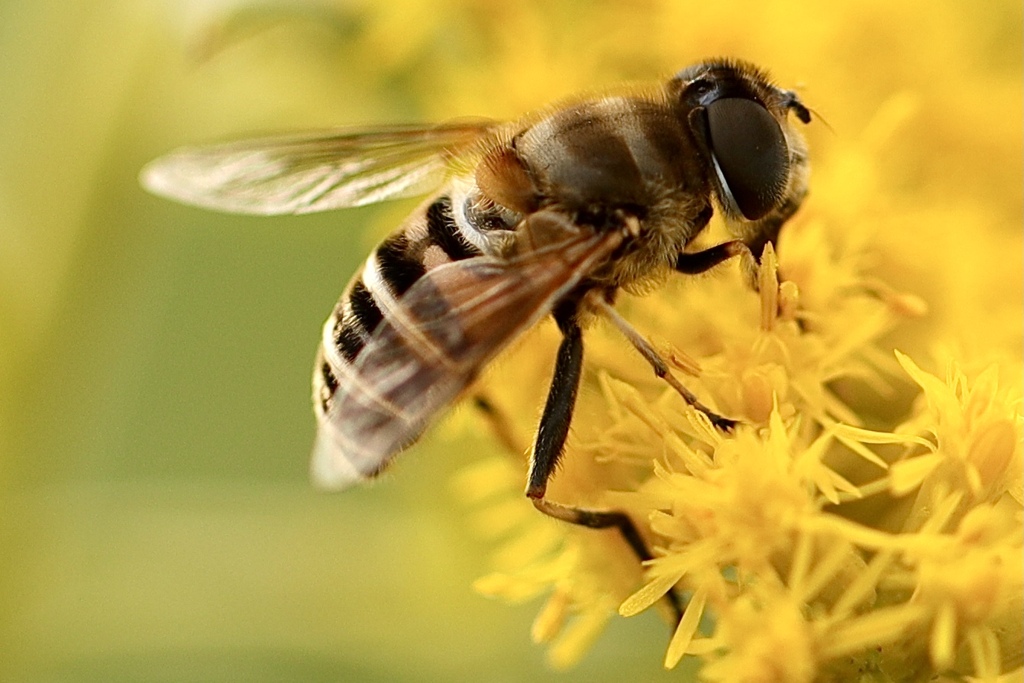 朝食中に失礼しました