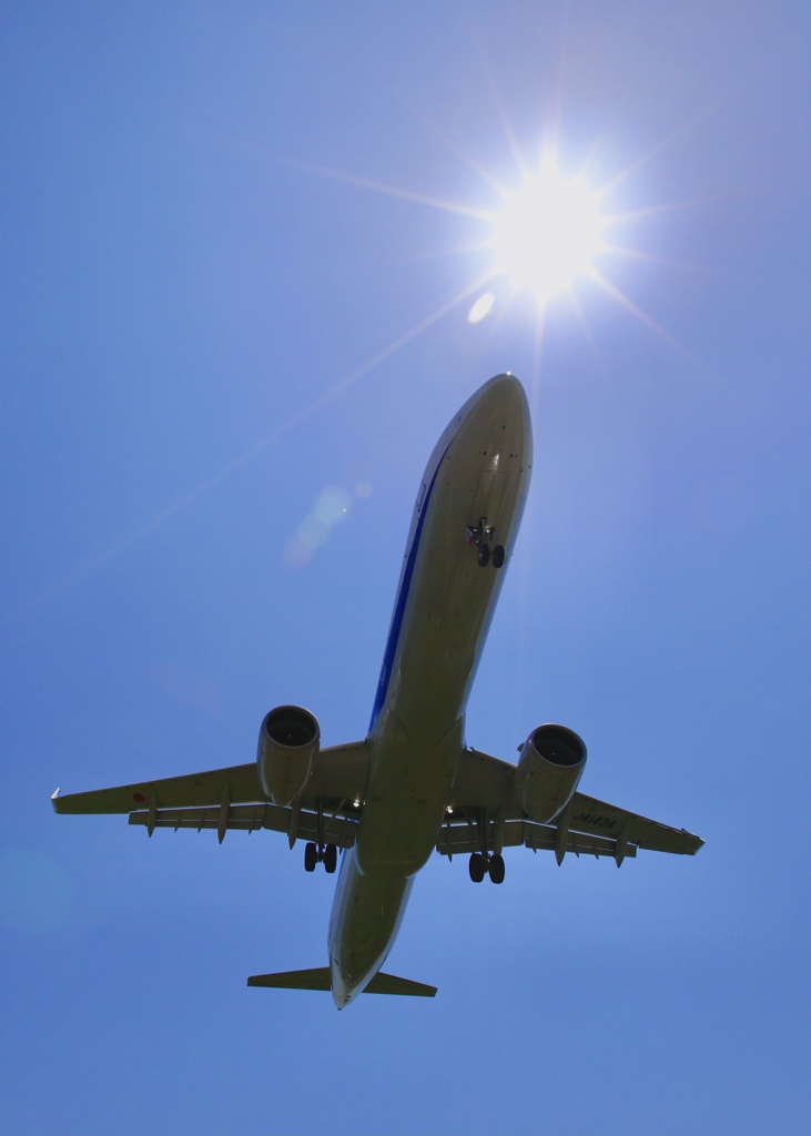 本日は晴天ナリ