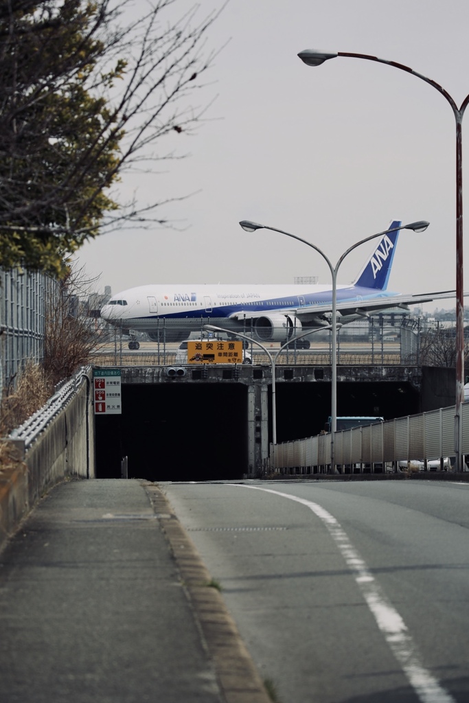 道路の上を？