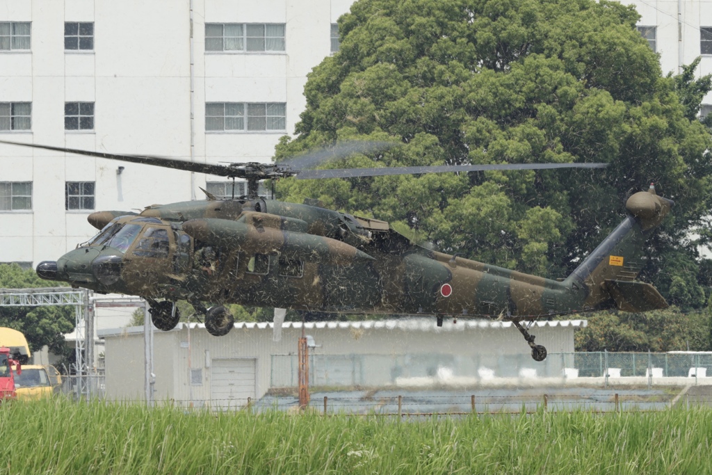 見よ飛竜のこのダウンウォッシュの破壊力！